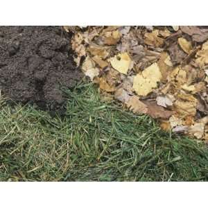 Compost Pile with Grass Clippings and Chopped Leaves Photographic 