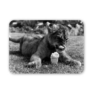  Cool for Cats Marquis has a hot day licked   Mouse Mat 