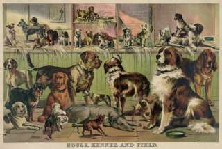 Dog Breeds Currier and Ives Repro prints dogs puppies  