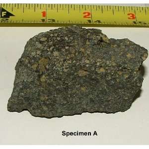   Kimberlite/Lamproite Specimen From Crater Of Diamonds 