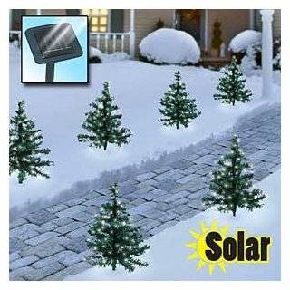 Solar Christmas Path Trees