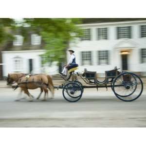  Horse Drawn Carriage, Williamsburg, Virginia, USA 