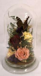 Real Taxidermy Butterfly Glass Dome Freeze Dried Flowers Roses Baby 