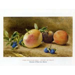  Study Of Fruit, 1877 by John William Hill 24 X 31 Art 