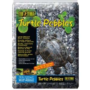 Exo Terra Large Turtle Pebbles Decor 10lbs PT3833  
