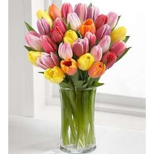 Rush Of Color Assorted Tulip Flower Bouquet   30 Stems   Vase Included