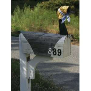 Mailbox Designed to Look Like a Canada Goose with Mother Goose Bonnet 