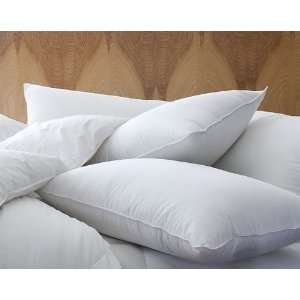  Feather and Down Granny Pillows Set of 2