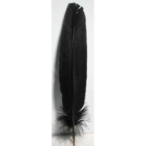   NEW Black Feather   Spell Kits, Mixes and Aids Patio, Lawn & Garden