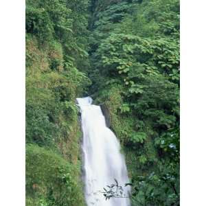  Trafalgar Falls, Roseau Region, Island of Dominica, West 