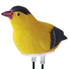 Singing Goldfinch Plant Pal Soil Moisture Meter   Sings  