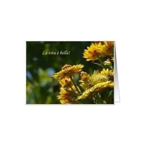 Life is Beautiful Italian Floral Notecards Paper Greeting Cards Card