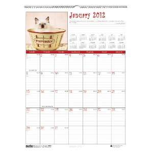  of Doolittle Earthscapes Kittens Wall Calendar, 12 Months, January 