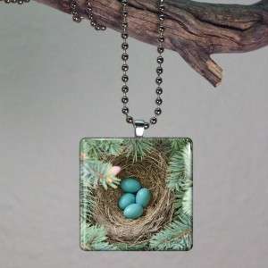 Robins Eggs Bird Nest Glass Tile Necklace Pendant 691  