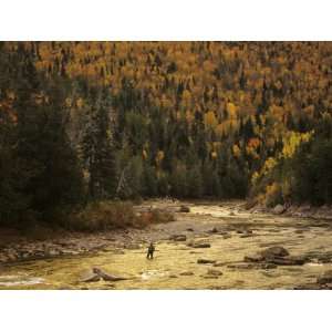 Fly Fisherman Lays Out a Perfect Cast in Search of Atlantic Salmon 