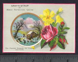 Red Spruce Gum Grays Syrup Cough Remedy 1800s ad CARD  