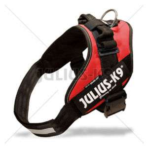 Julius K9 IDC power harness, all sizes, 11 colors, NEW  