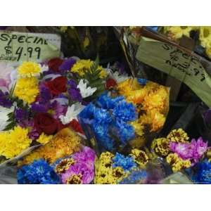  Flowers for Sale at an Outdoor Market Stand, New York 