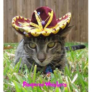  Sassy Sangria Miniature Sombrero for Cats and Dogs