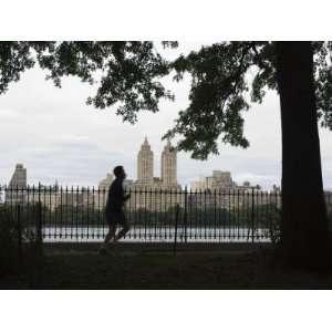  Jogger, Central Park, Manhattan, New York City, New York 