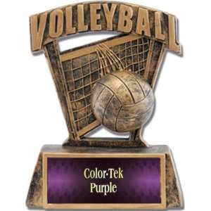  Volleyball Resin Trophies PURPLE COLOR TEK PLATE 6 Custom Volleyball 
