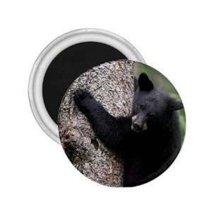  Black Bear Cub Refrigerator Magnet
