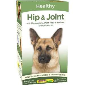  ReNew Life   Healthy Joints for Dogs   60 Chewable Tablets 