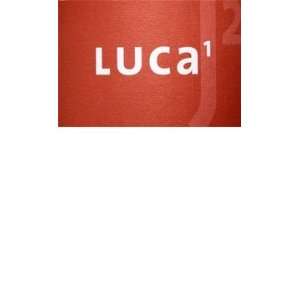   Landgraf St. Laurent Rheinhessen Luca 1 750ml Grocery & Gourmet Food