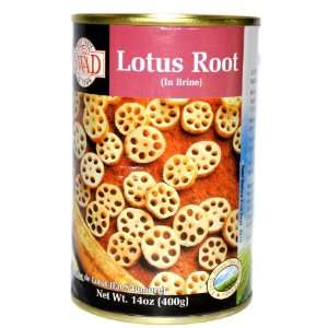 Swad Lotus Roots in Brine   14oz  Grocery & Gourmet Food