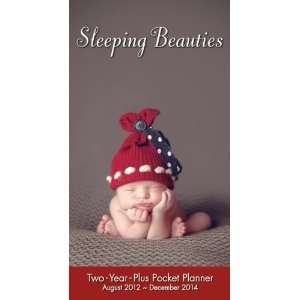  Sleeping Beauties Newborns in Dreamland 2013 Pocket 