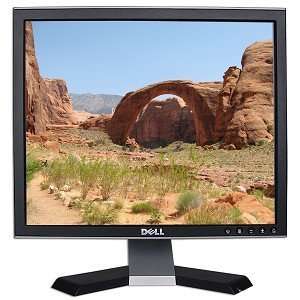    17 Dell 1707FPt DVI LCD Monitor w/USB Hub (Black) Electronics
