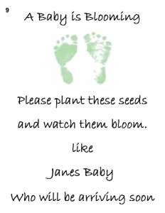 Baby Shower Seed Packets Favors 9a 30 Quantity  